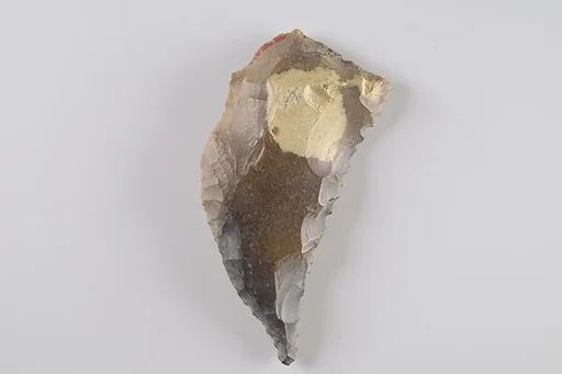 Sickle Insert