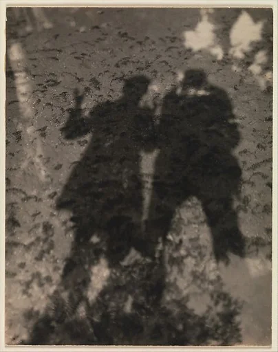 Shadows in Lake