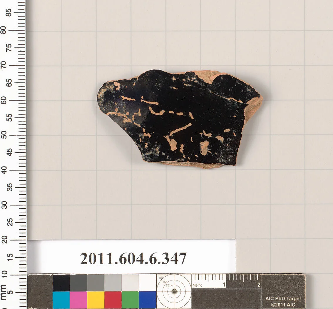 Terracotta fragment of a closed shape — Unknown