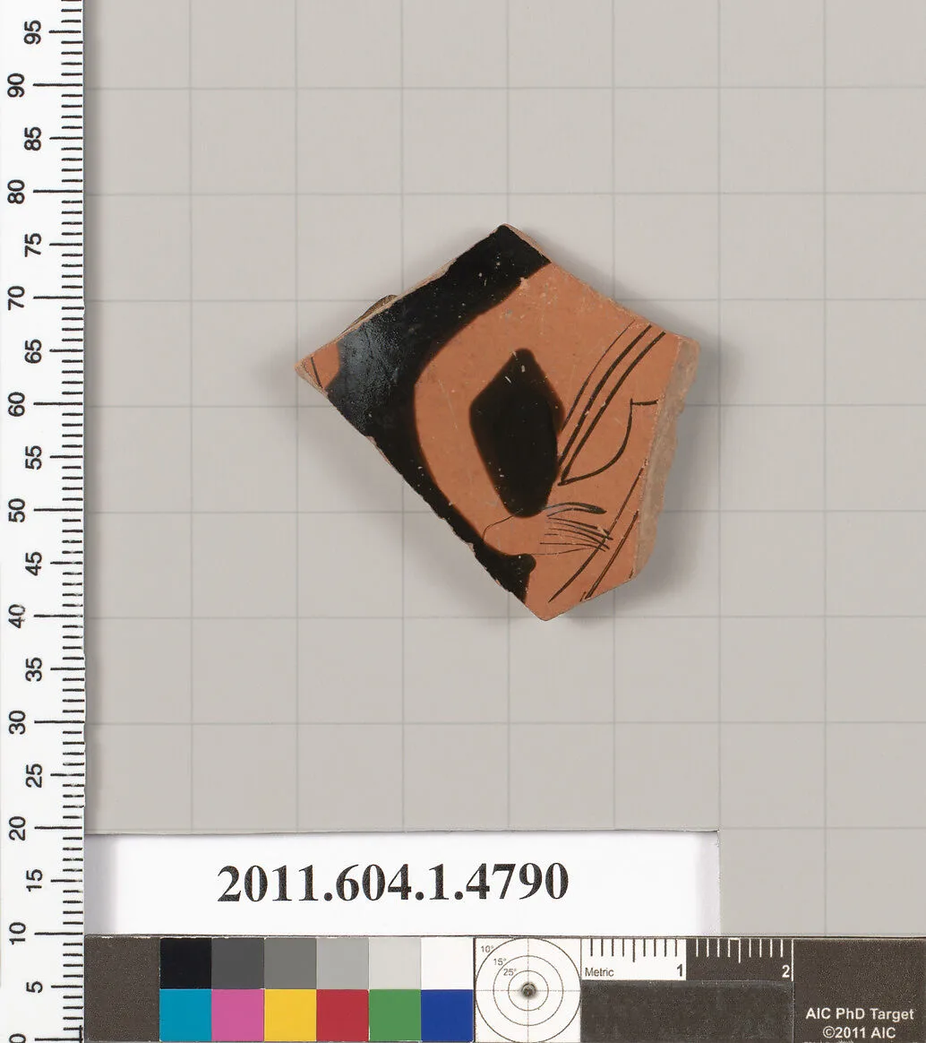 Terracotta fragment of a kylix (drinking cup) — Unknown