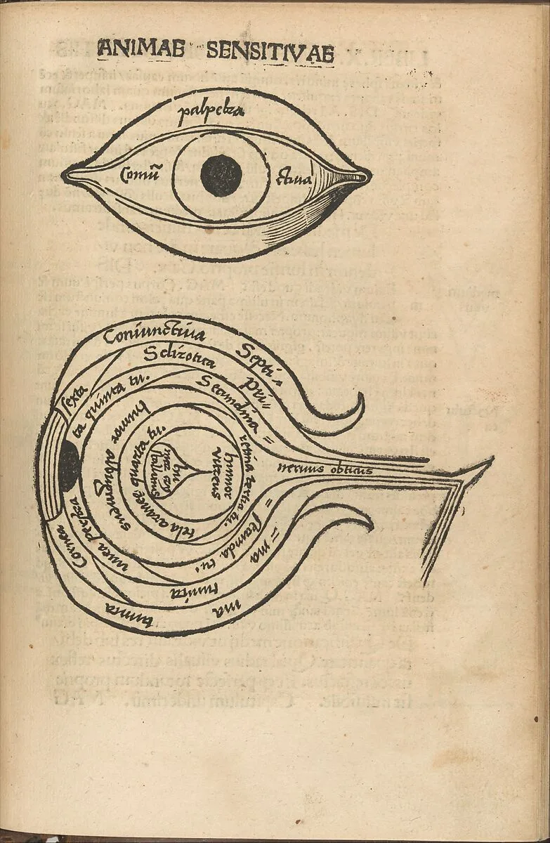 Margarita Philosophica — Gregorius Reisch|Urs Graf|Johann Schott