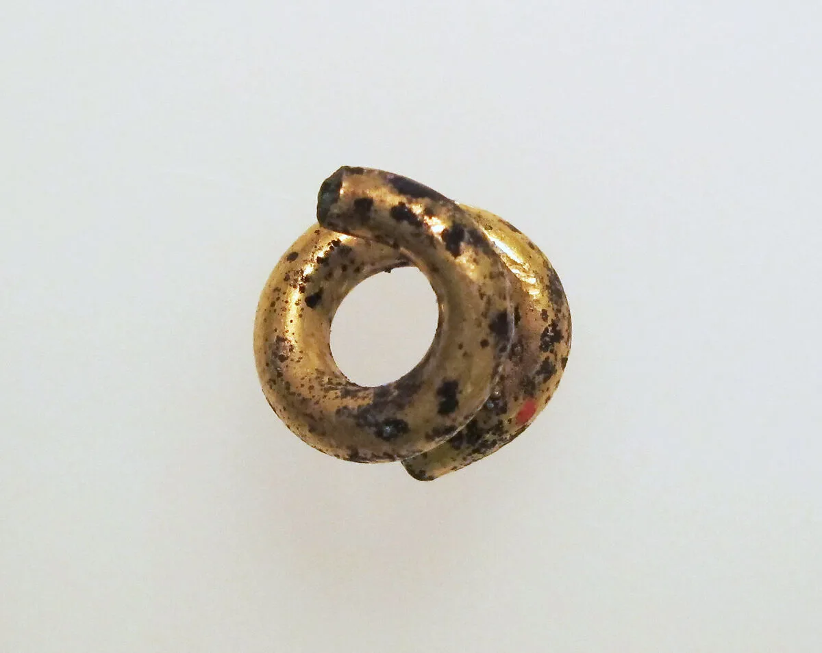 Earring or spiral — Unknown