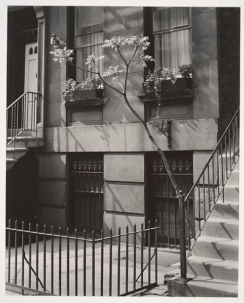 Brownstone in the Fifties — Brett Weston