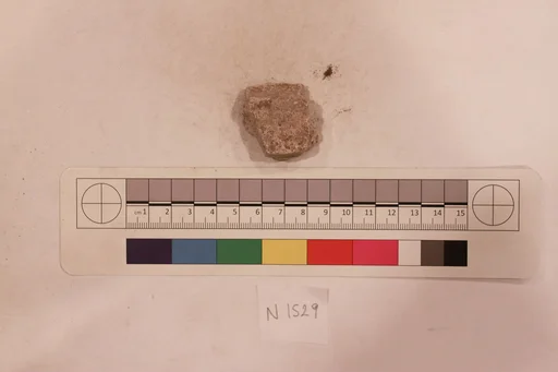 Stucco Fragment