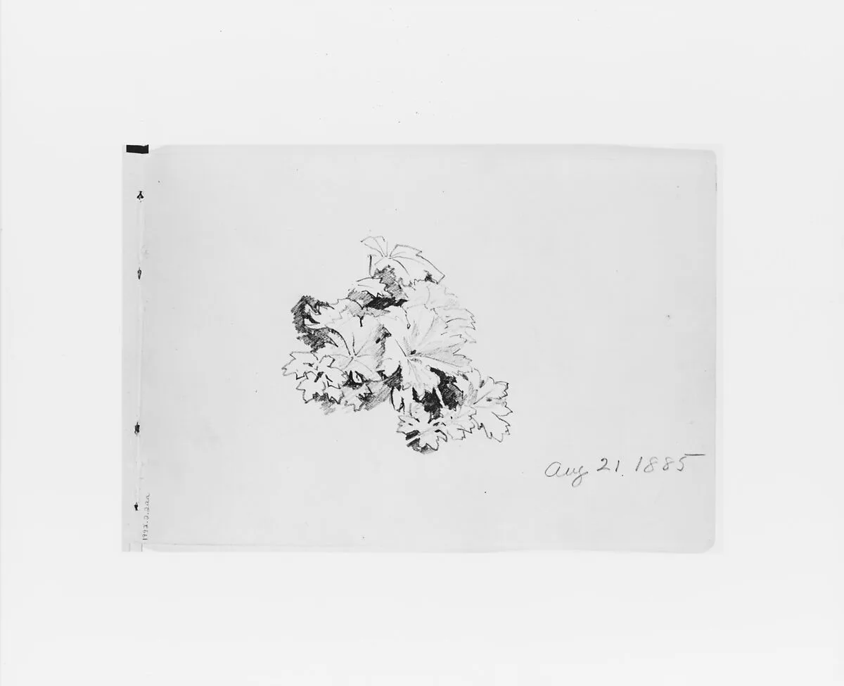 Aug 21 1885: Nature Study (from Sketchbook X) — William Trost Richards