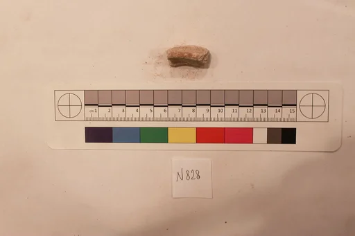 Stucco Fragment