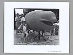 Chris Mueller, Gunnar Ferdinandsen and Werner Binczek with Clay Killer Whale Mock-Up for Film, “Jaws 2.” –Staff Department — Robert Cumming