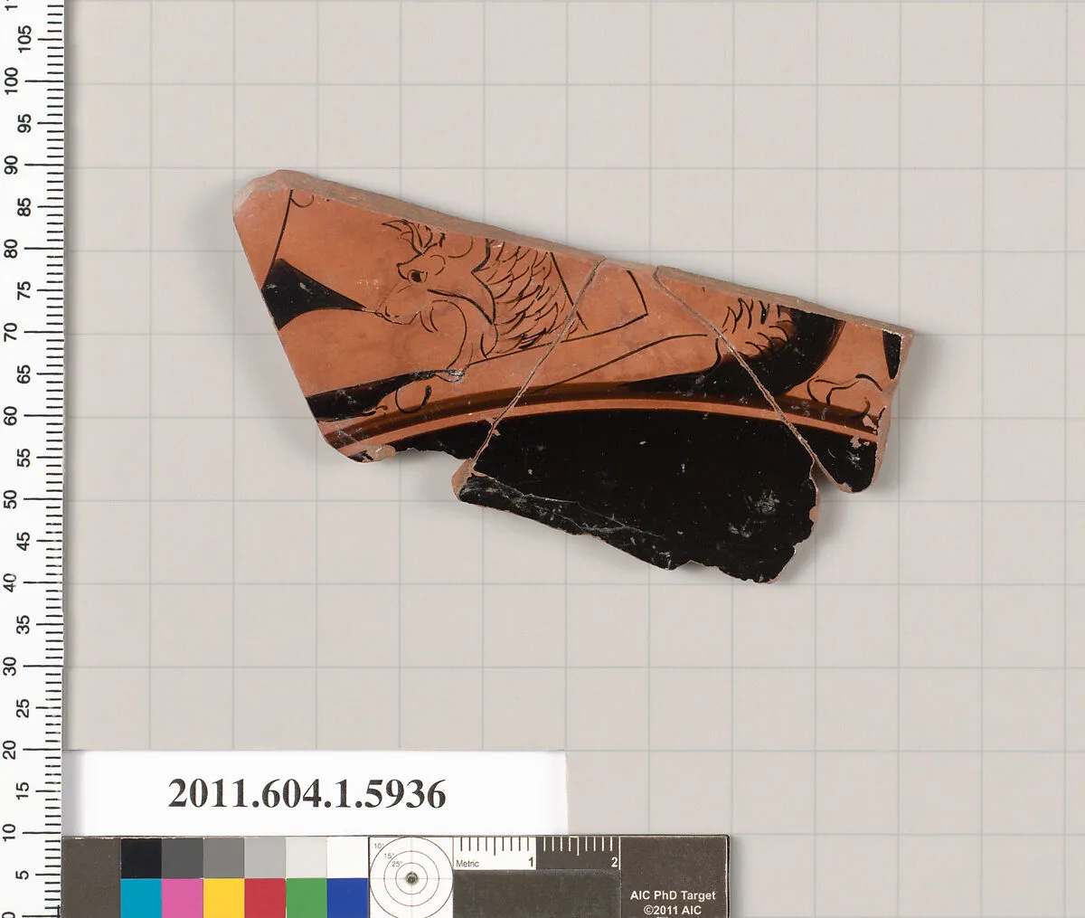 Terracotta fragment of a kylix (drinking cup) — Unknown