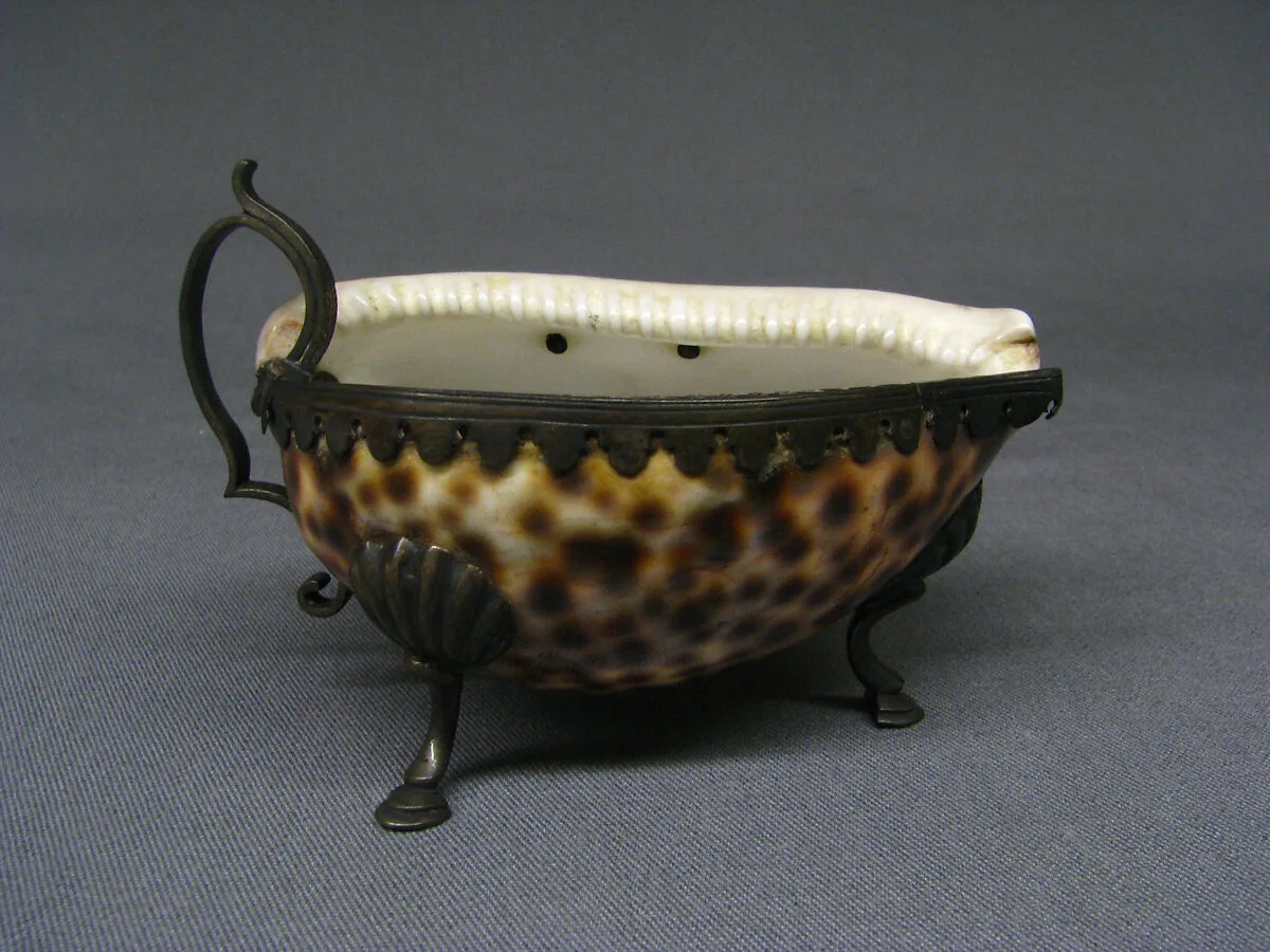 Cowrie shell — Unknown
