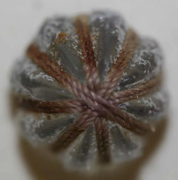 Button — Unknown