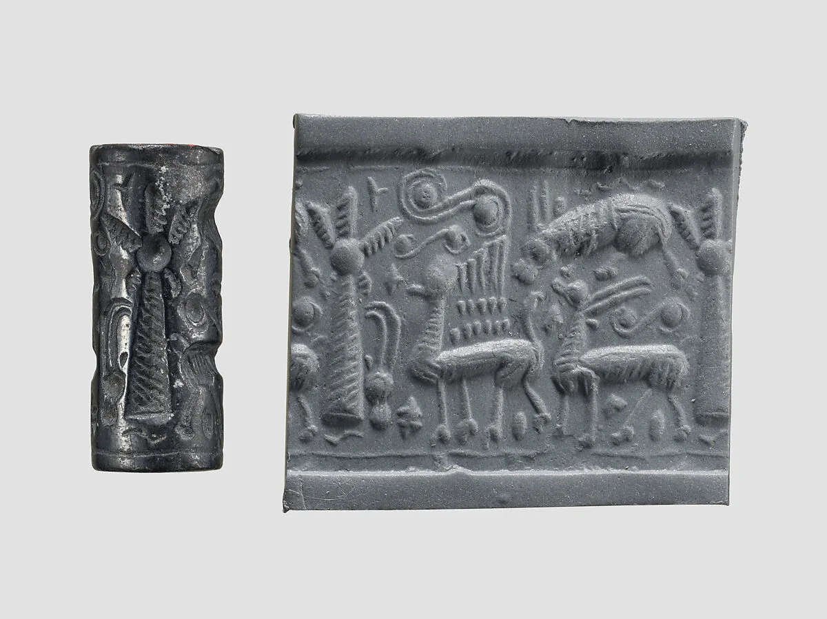 Cylinder seal — Unknown