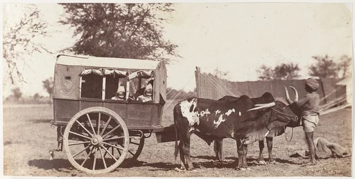 [Campbell Twins in a Shigram, Governor General's Camp]
