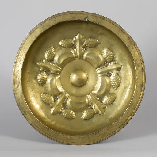 Dish