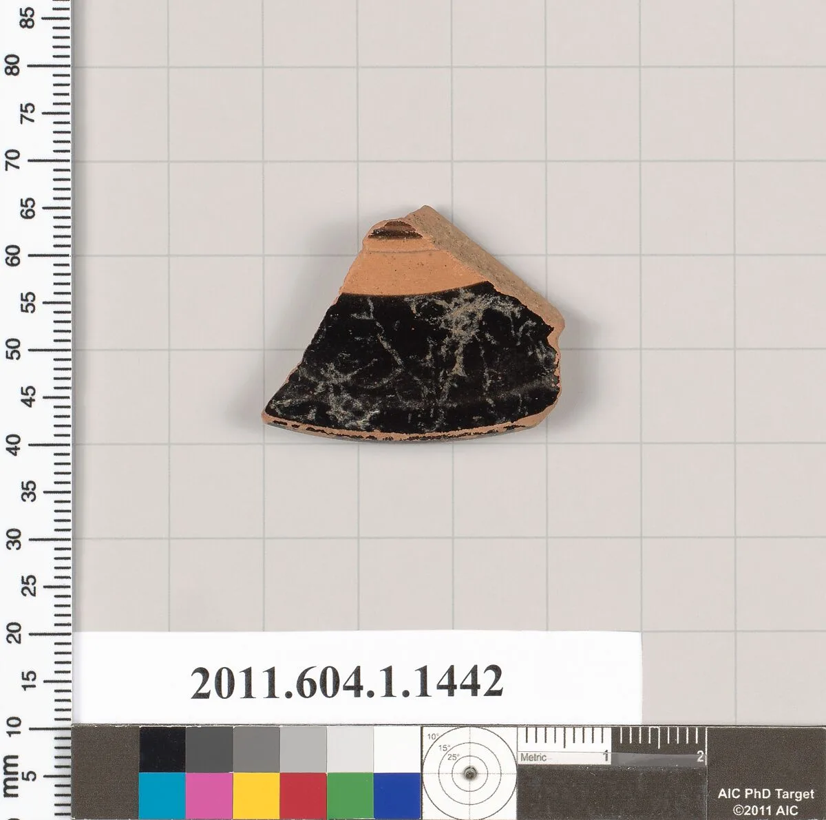 Terracotta fragment of a kylix (drinking cup) — Unknown
