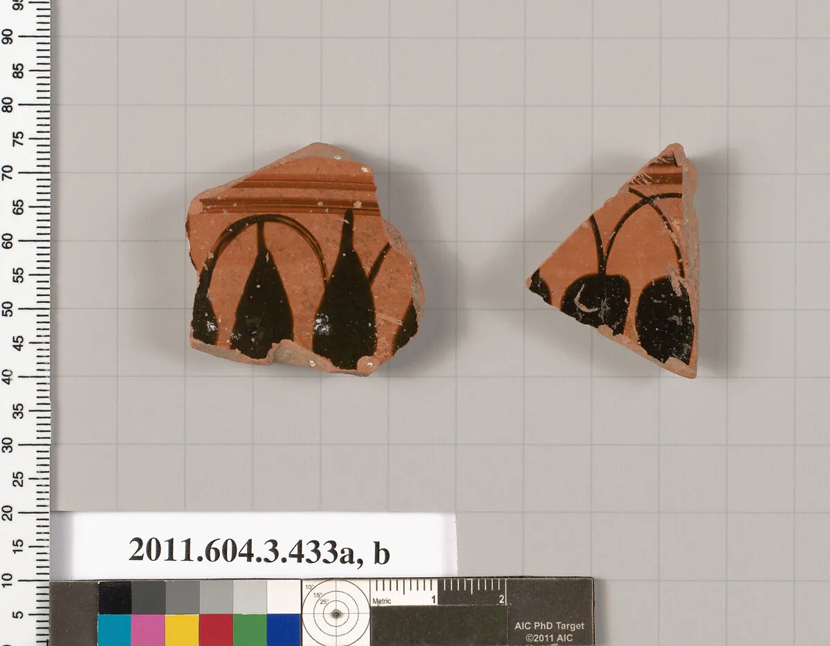 Terracotta fragments of neck-amphorae (jars) — Unknown