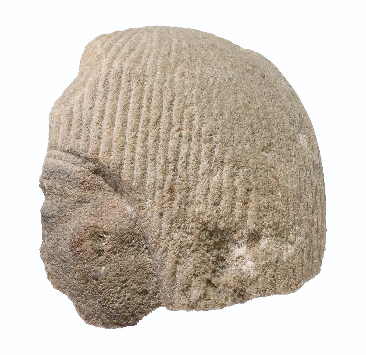 Head of official from a scene — Unknown