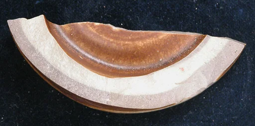 Fragment