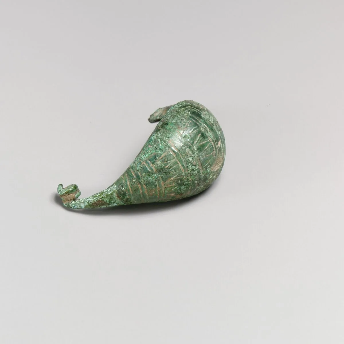 Fibula — Unknown