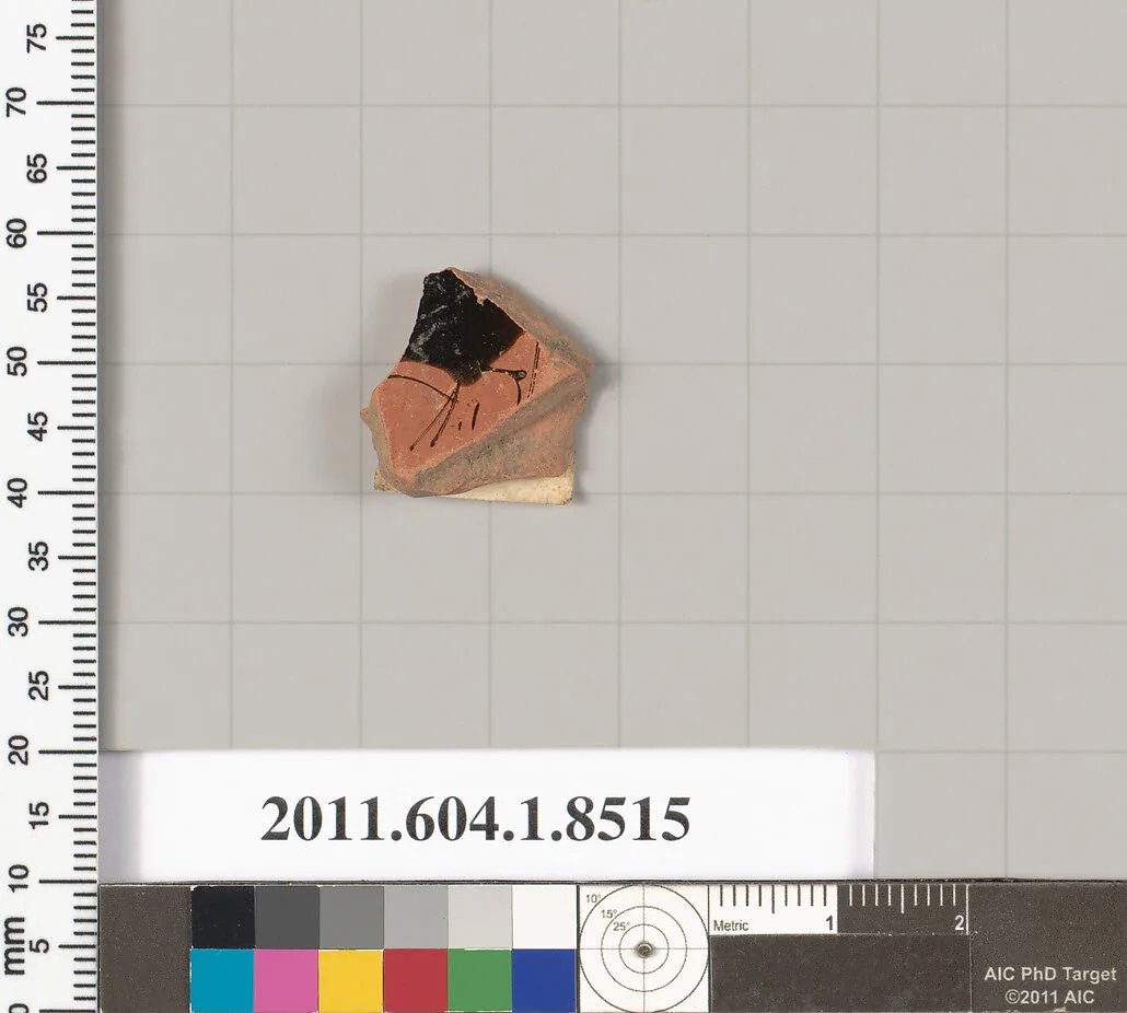Terracotta fragment of a stemless kylix (drinking cup) — Unknown