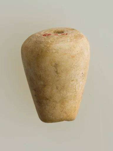 Shell pendant or bead