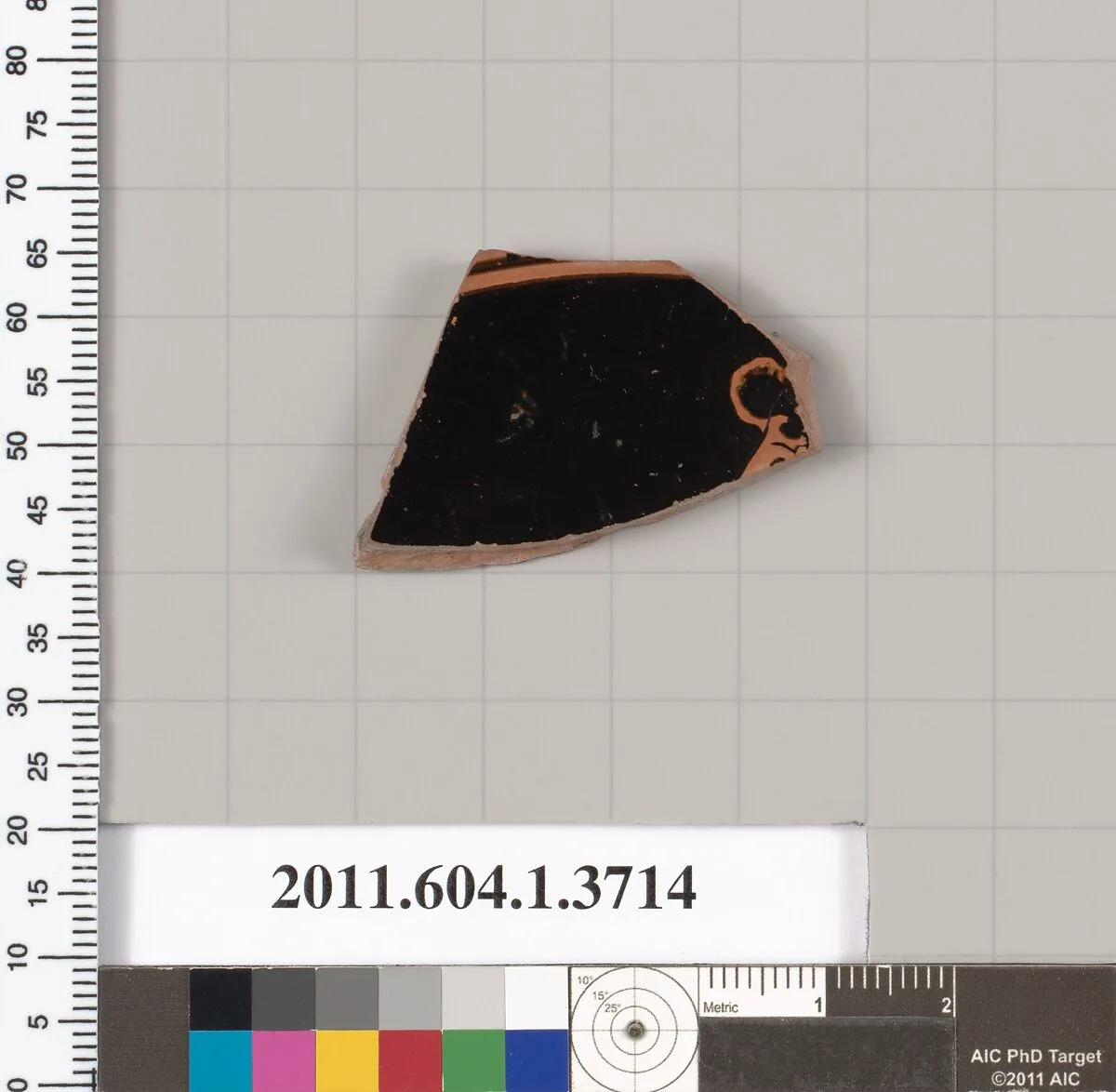 Terracotta fragment of a kylix (drinking cup) — Unknown