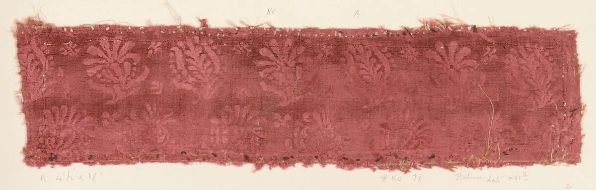 Fragment — Unknown