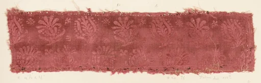 Fragment
