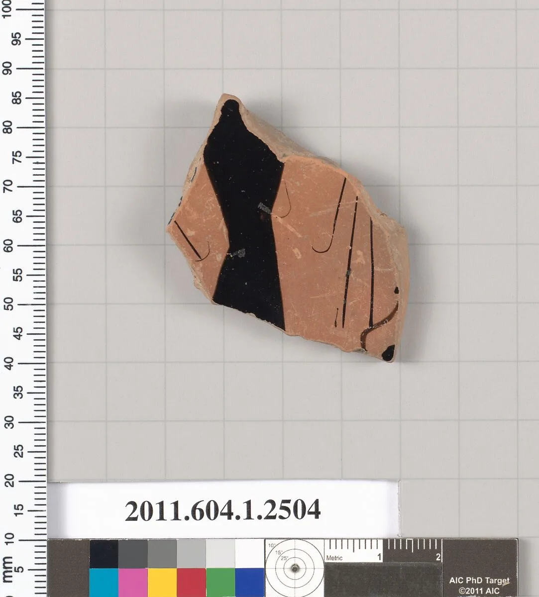 Terracotta fragment of a kylix (drinking cup) — Unknown