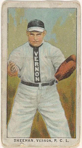 Sheehan, Vernon, Pacific Coast League, from the "Obak Baseball Players" set (T212), issued by the American Tobacco Company to promote Obak Mouthpiece Cigarettes — American Tobacco Company