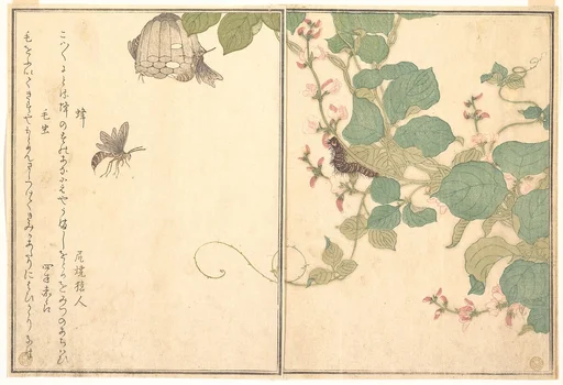 『画本虫撰』 「蜂」「毛虫」|Paper Wasp (Hachi); Hairy Caterpillar (Kemushi), from the Picture Book of Crawling Creatures (Ehon mushi erami)
