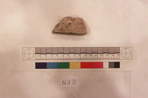 Stucco Fragment