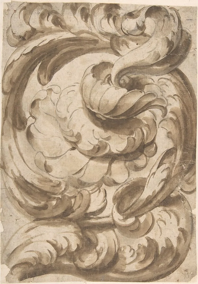 Acanthus Scroll with Rosette — Anonymous, Italian, 17th century