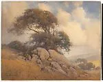 Windswept Tree and Rocks — Percy Gray