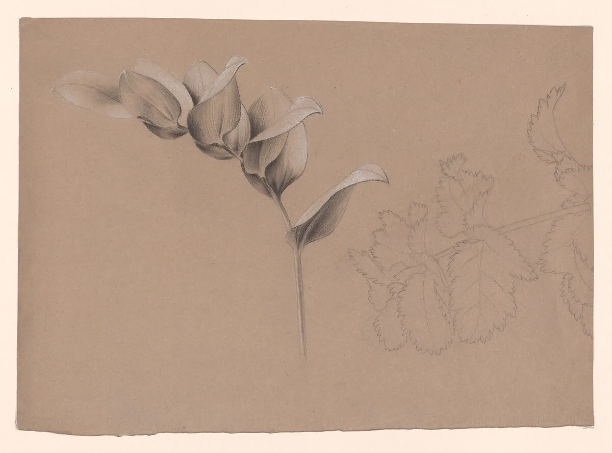 Floral Design — Antoine Berjon