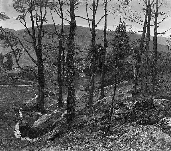 In the Connecticut Hills — Ben Foster