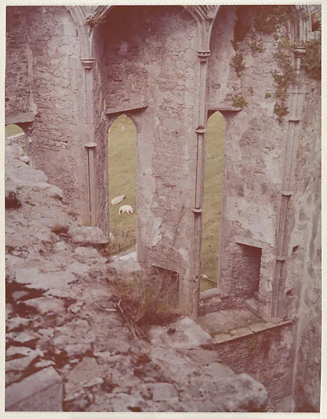 Cashal, Ireland — Peter Fink