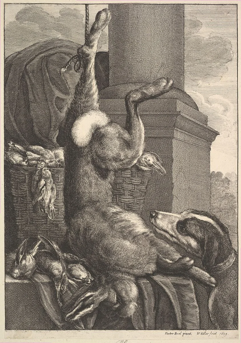 The Dead Hare — Wenceslaus Hollar|Pieter Boel