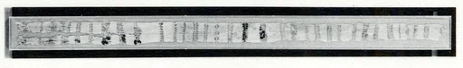 Belt