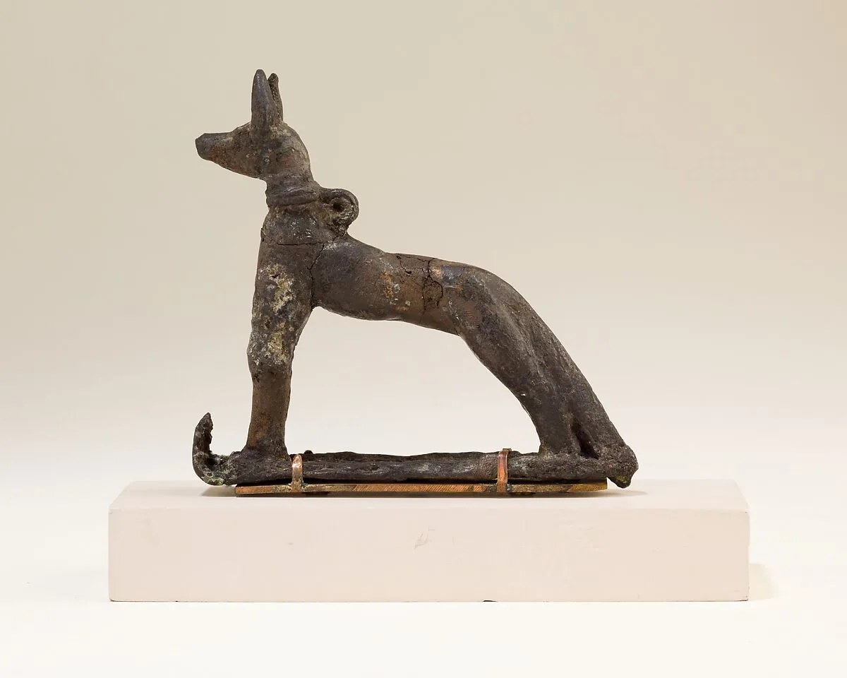 Jackal — Unknown