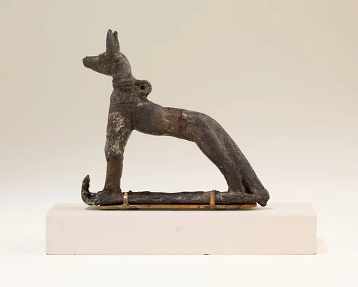 Jackal