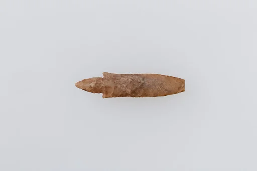 Projectile Point