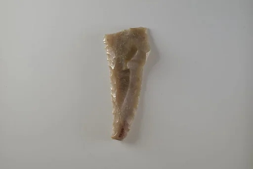 Sickle Insert