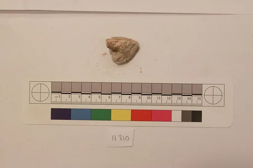 Stucco Fragment