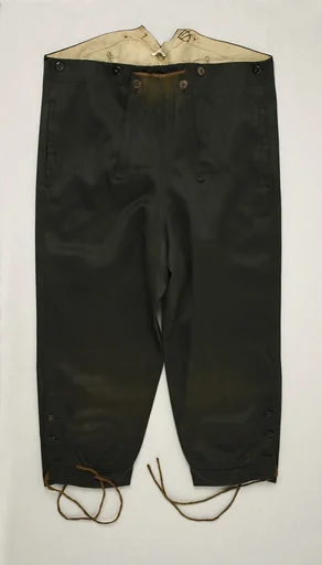 Breeches