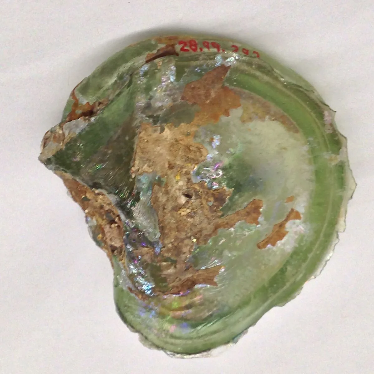 Fragment — Unknown