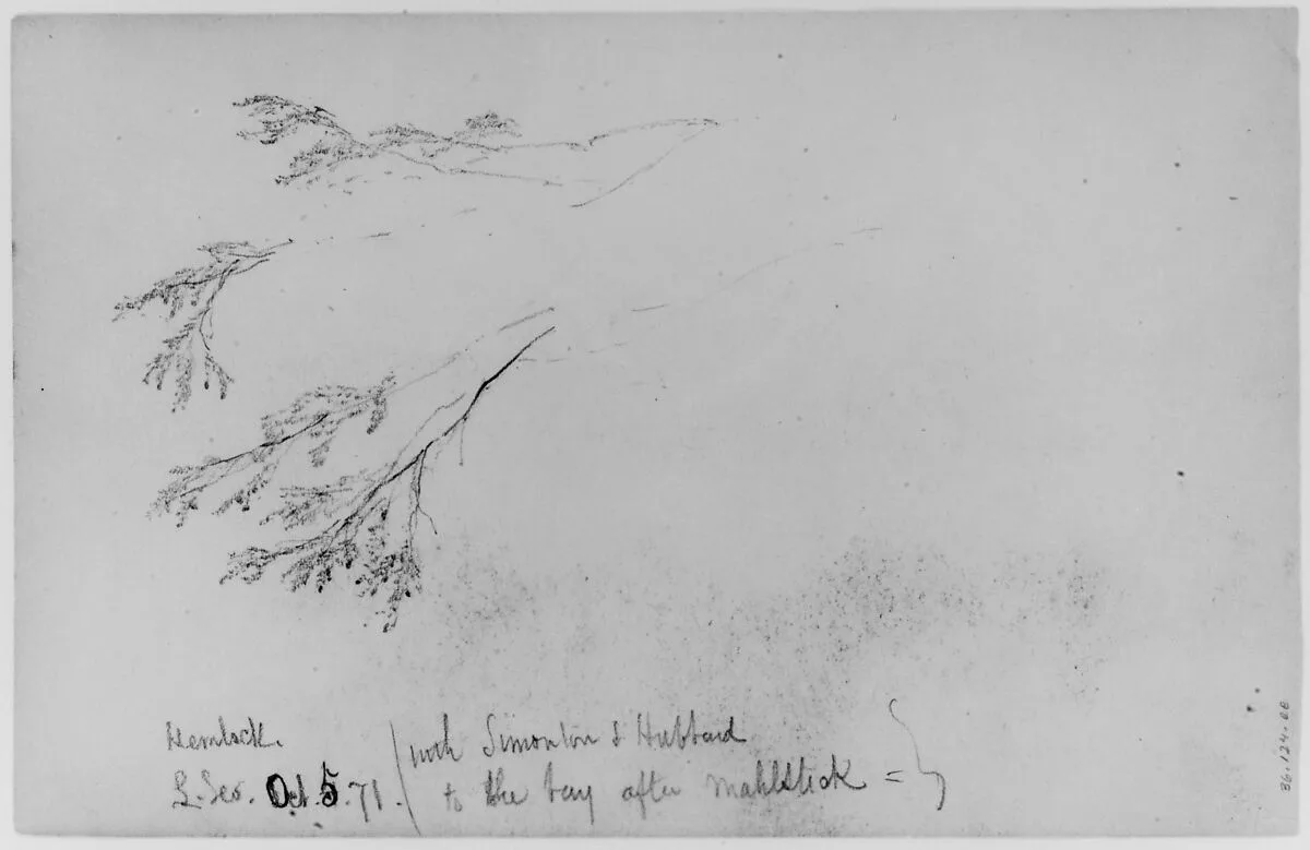 Study of Hemlock, 1871 (from Sketchbook) — Daniel Huntington