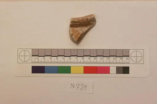 Stucco Fragment