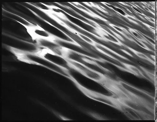 [Water, From Dayboat in Everglades, Florida]