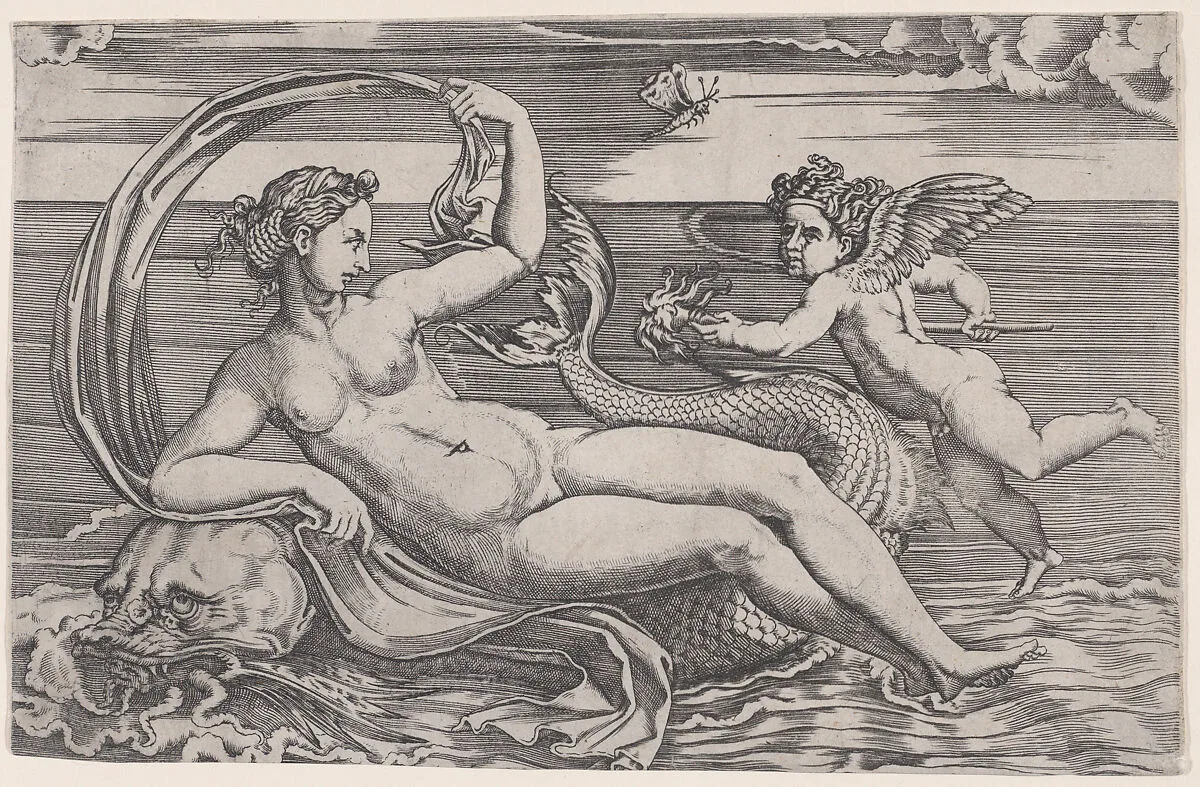 Venus Reclining on a Dolphin — Agostino Veneziano (Agostino dei Musi)|Raphael (Raffaello Sanzio or Santi)|Giulio Romano