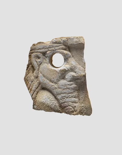 Plaque fragment